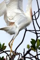 Casamance 25